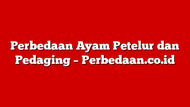 Perbedaan Ayam Petelur dan Pedaging – Perbedaan.co.id