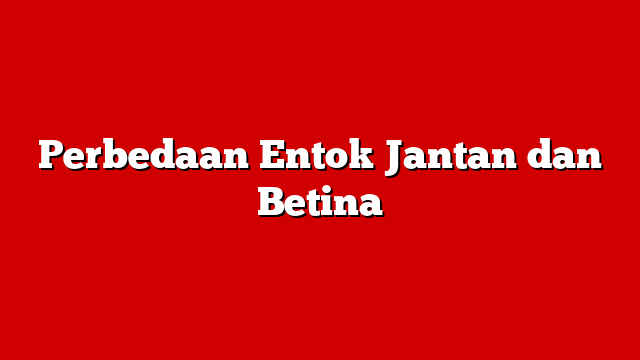 Perbedaan Entok Jantan dan Betina