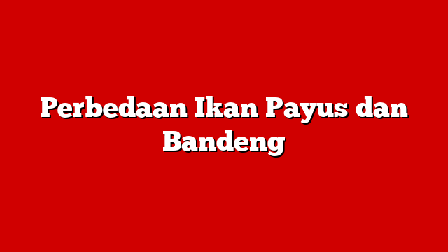 Perbedaan Ikan Payus dan Bandeng