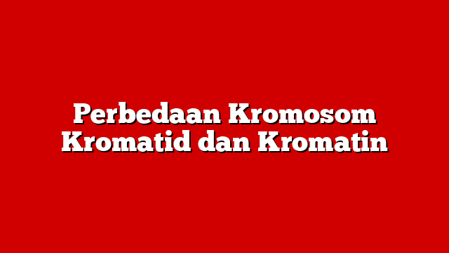 Perbedaan Kromosom Kromatid dan Kromatin