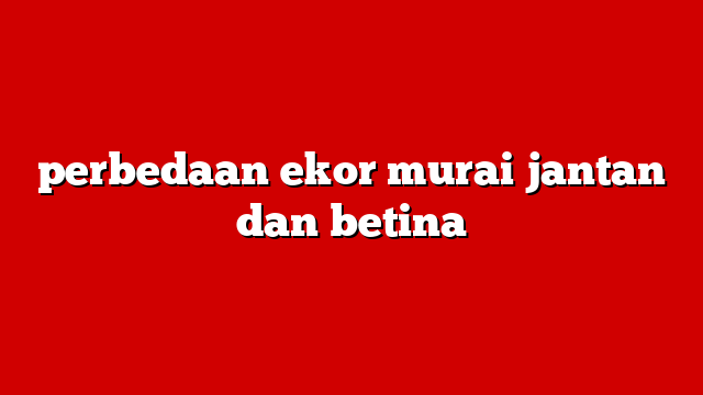 perbedaan ekor murai jantan dan betina
