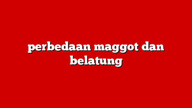 perbedaan maggot dan belatung