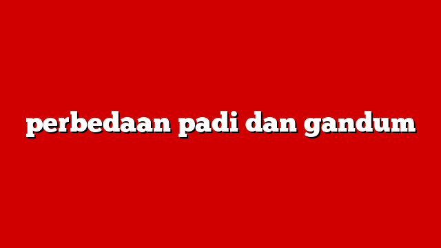 perbedaan padi dan gandum