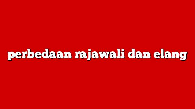 perbedaan rajawali dan elang